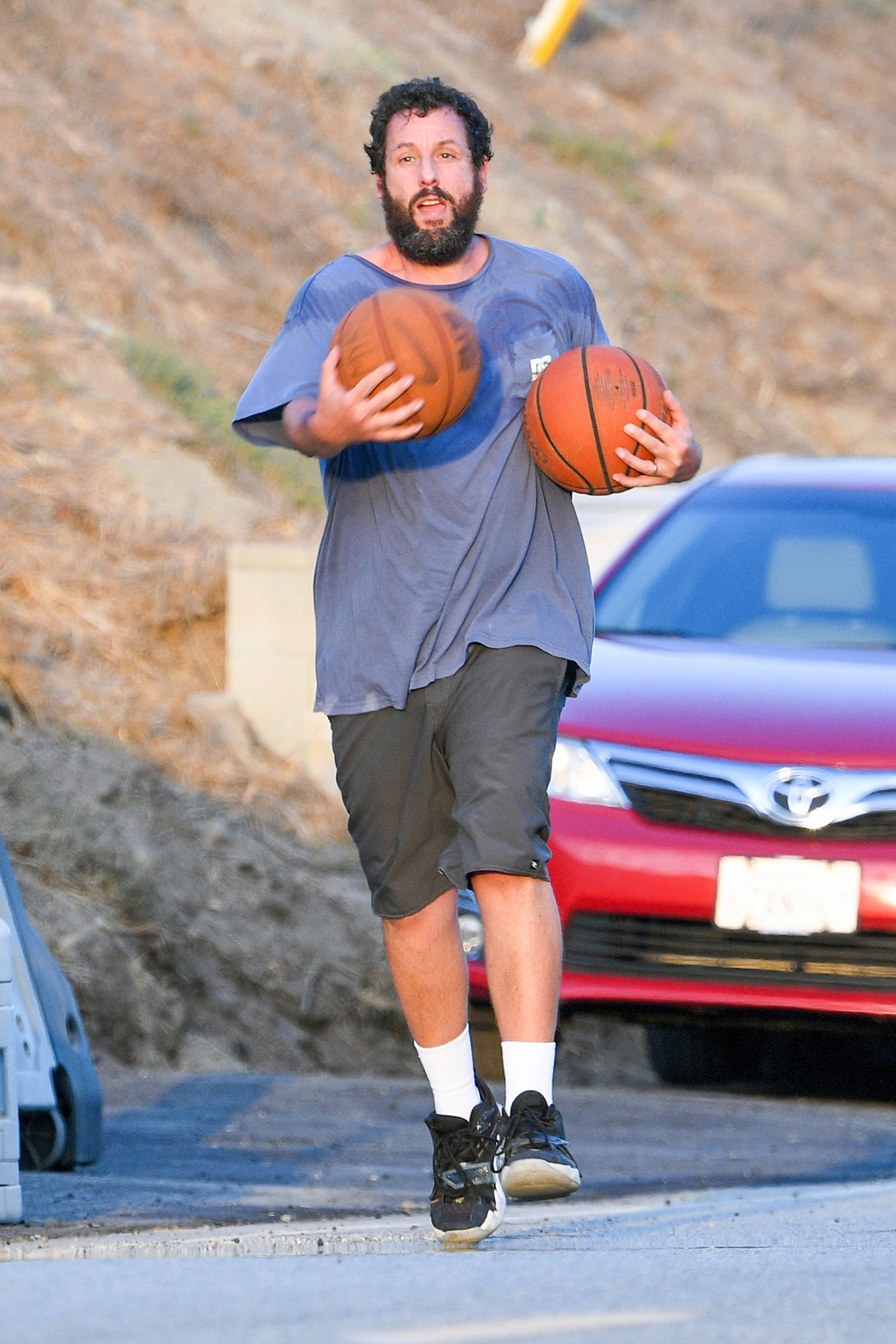 Best star snaps of the week Adam Sandler and Bella Hadid with goats