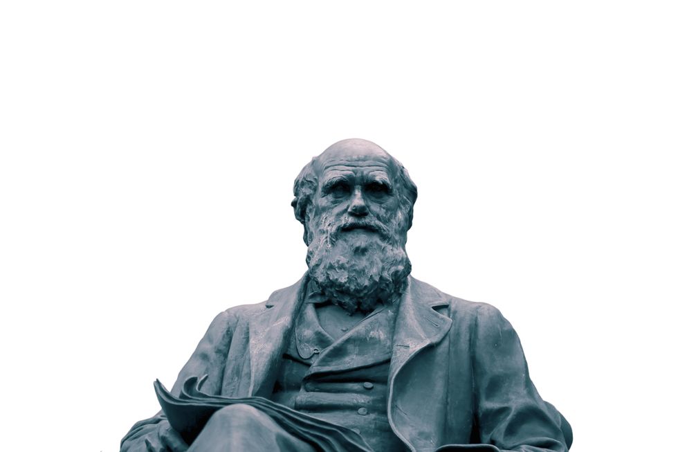 \u200bCharles Darwin statue
