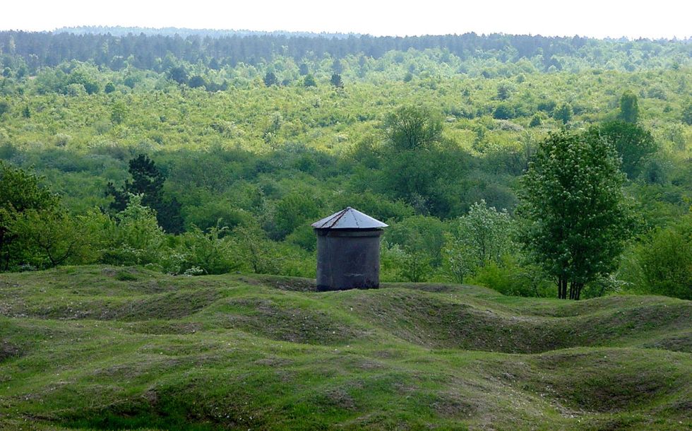 Foreground: Verdun battlefield kept clear of vegetation to show the battle scars on the landscape. Background: Verdun Forest, as it has emerged after WWI.