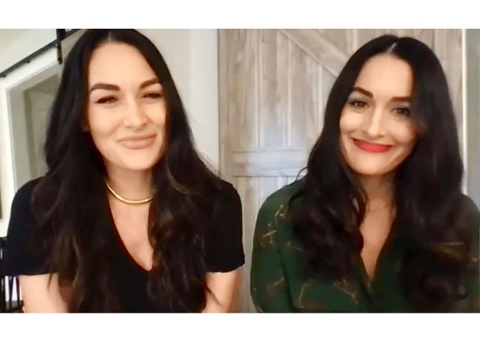 Nikki Brie Bella Compare Sons Latest Milestones