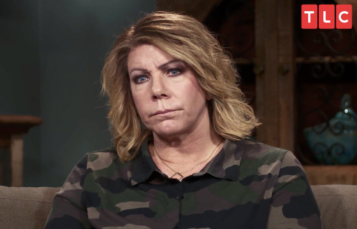 Sister Wives Kody Brown Says There's Nothing Between Him and Wife Meri