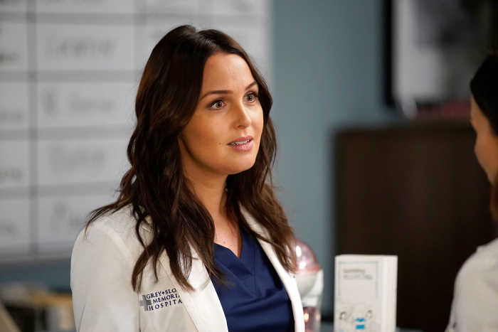 Camilla Luddington Teases 'Crazy Unexpected People' Returning to 'Grey's Anatomy'