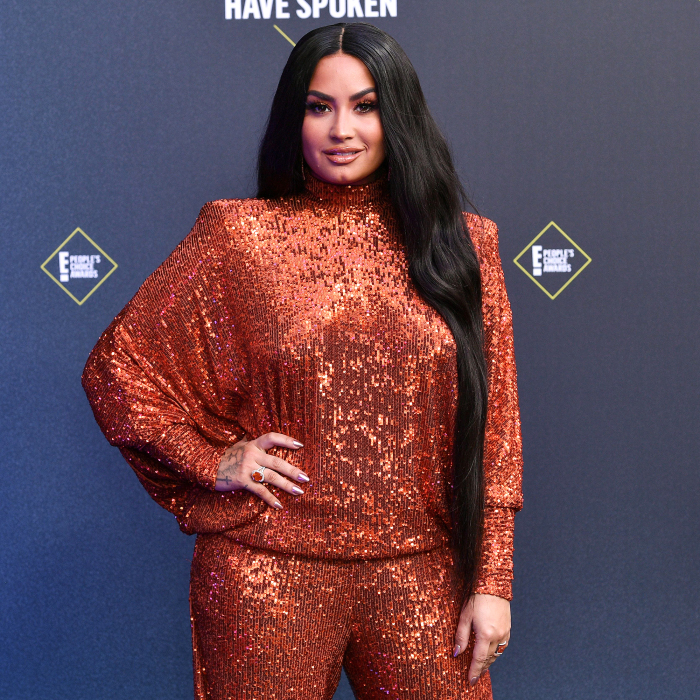 Demi Lovato Is Non-Binary, Changes Pronouns to They/Them