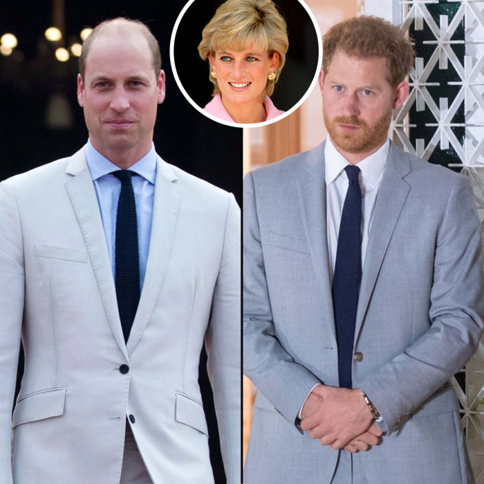 Prince William Harry Criticize Dianas BBC Interview After Investigation