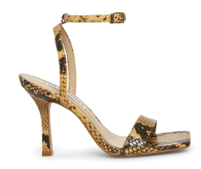 Karri Tan Snake