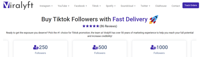 Viralyft