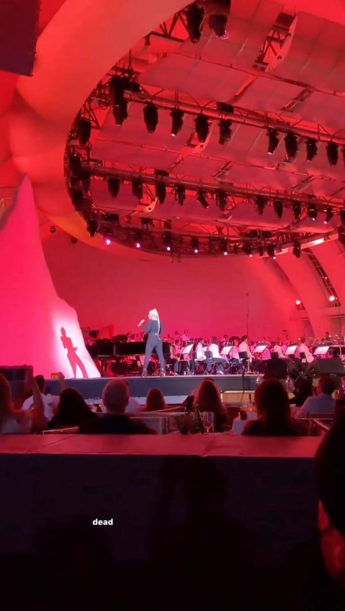 Ariana Grande Husband Dalton Gomez Enjoy Date Night Stunning Concert