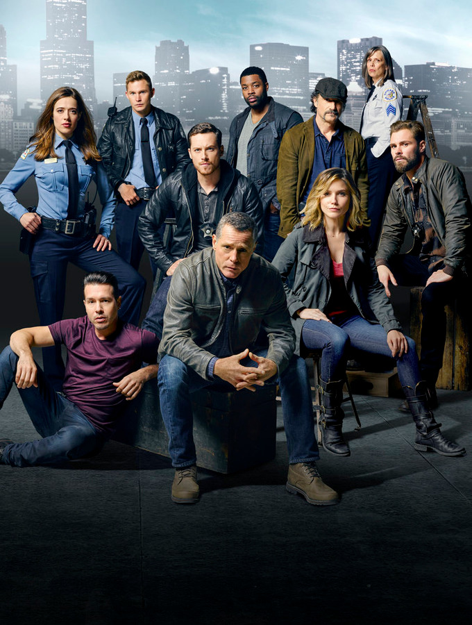 Chicago PD Season 3 Sophia Bush