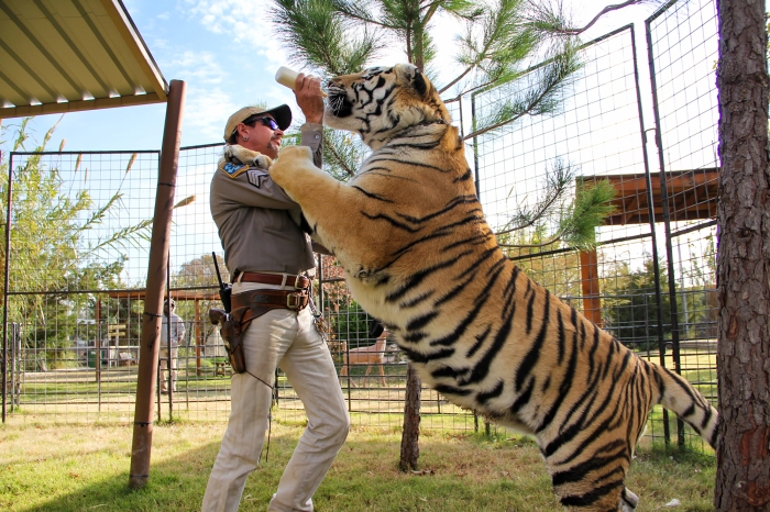Hey All You Cool Cats and Kittens! ‘Tiger King 2’ Is Officially Coming To Netflix This Year