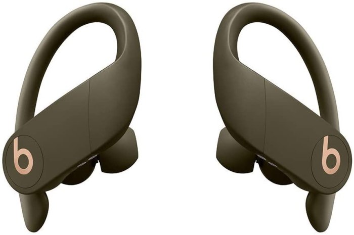Powerbeats Pro Totally Wireless & High-Performance Bluetooth Earphones
