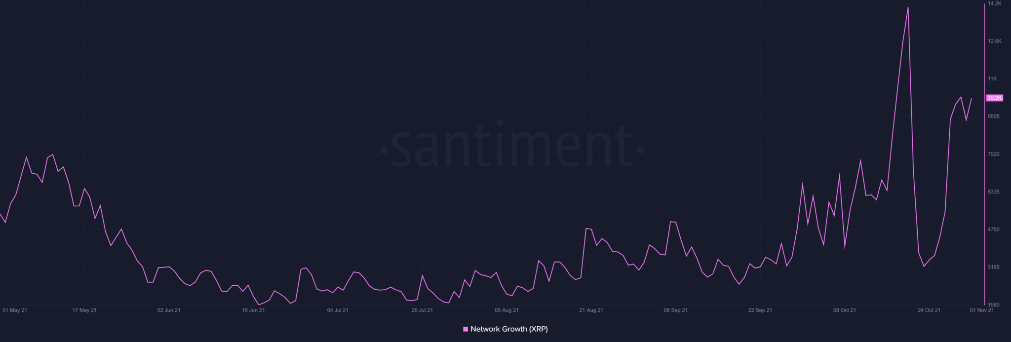 XRP network growth