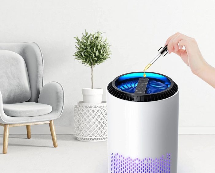 KioudI by Nessbase HEPA Air Purifier