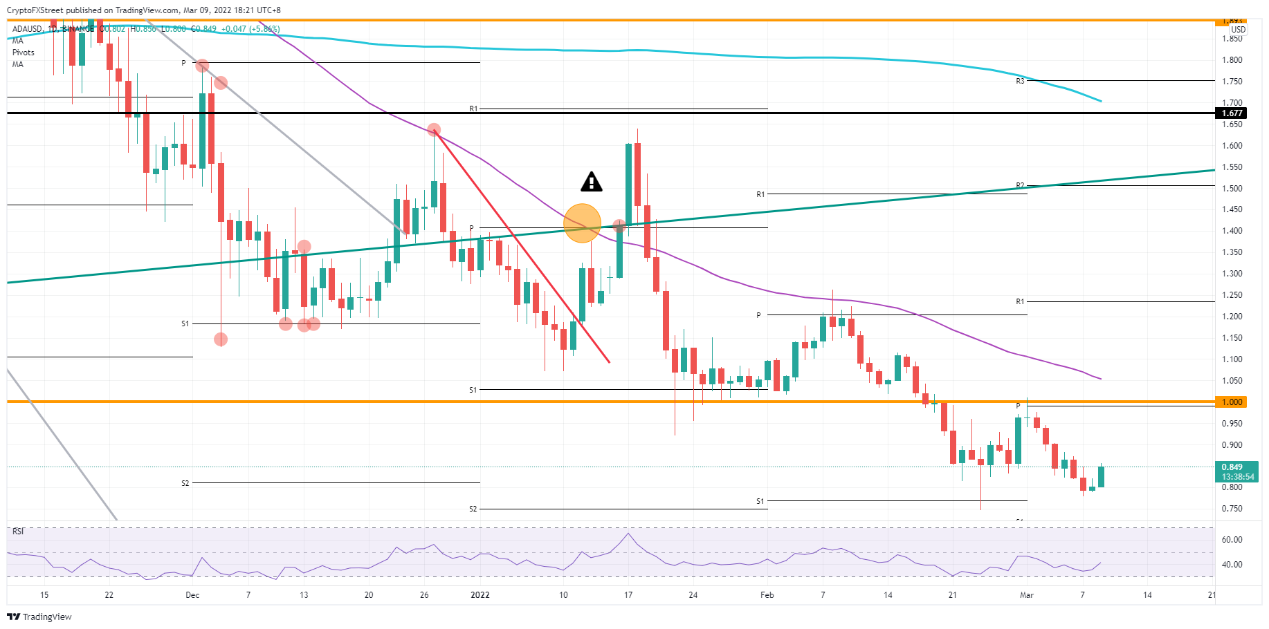 cadano daily chart