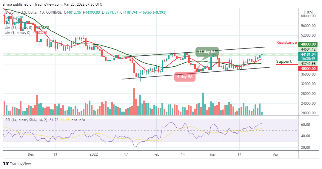 btc daily chart