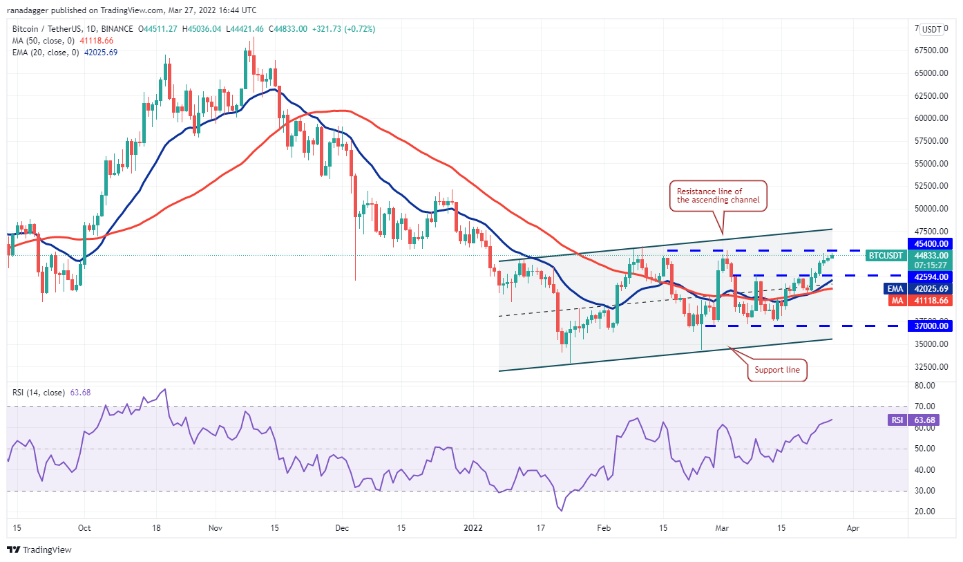 bitcoin daily chart