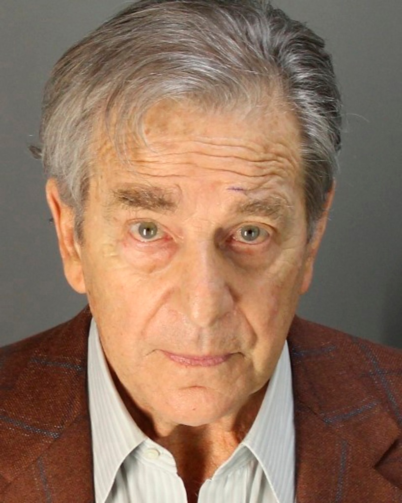 Paul Pelosi mugshot