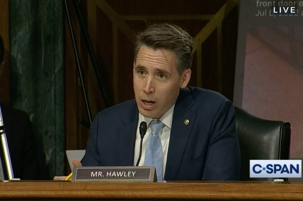 Sen. Josh Hawley got into a heated exchange with a Berkeley law professor about her use of the phrase &ldquo;people with a capacity for pregnancy​" during a Senate hearing about abortion.