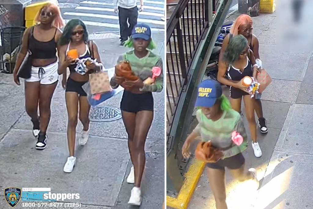 The suspects who allegedly attacked Jill LeCroix on a bus in Queens on July 9, 2022.