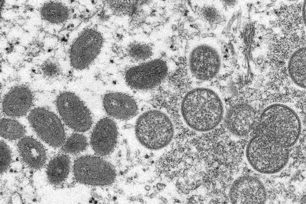 prairie dog cells.