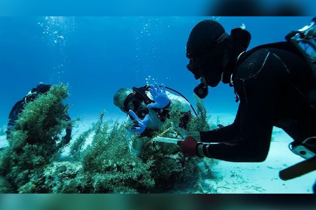 divers.