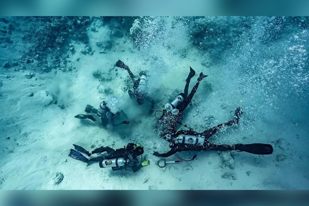 Divers looking for treasure.