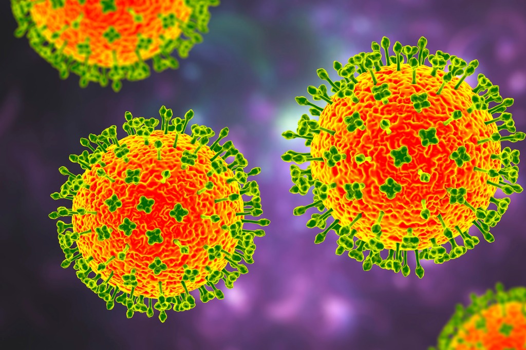 The new Langya henipavirus, or LayV, closely resembles the Nipah virus, which kills up to 75% of those infected.
