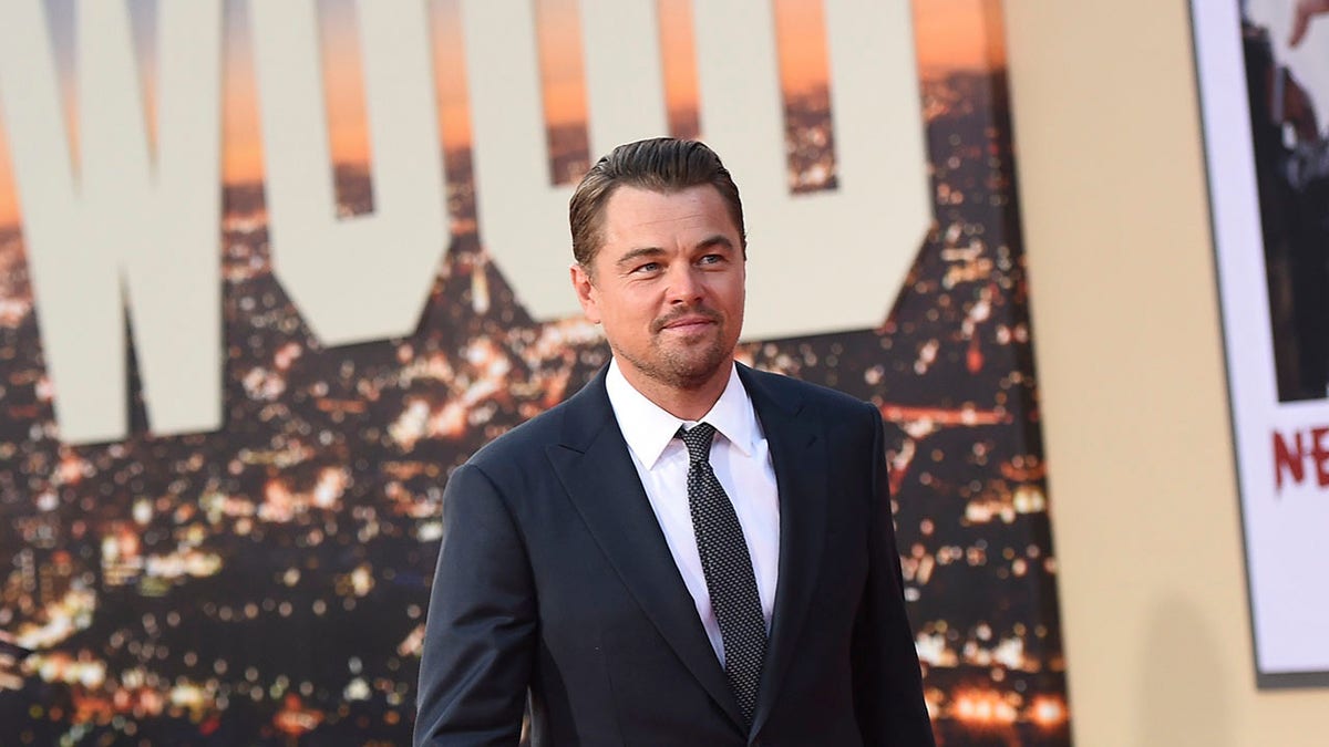 Leonardo DiCaprio funneled grants through dark money group to fund climate nuisance lawsuits, emails show | Fox News
