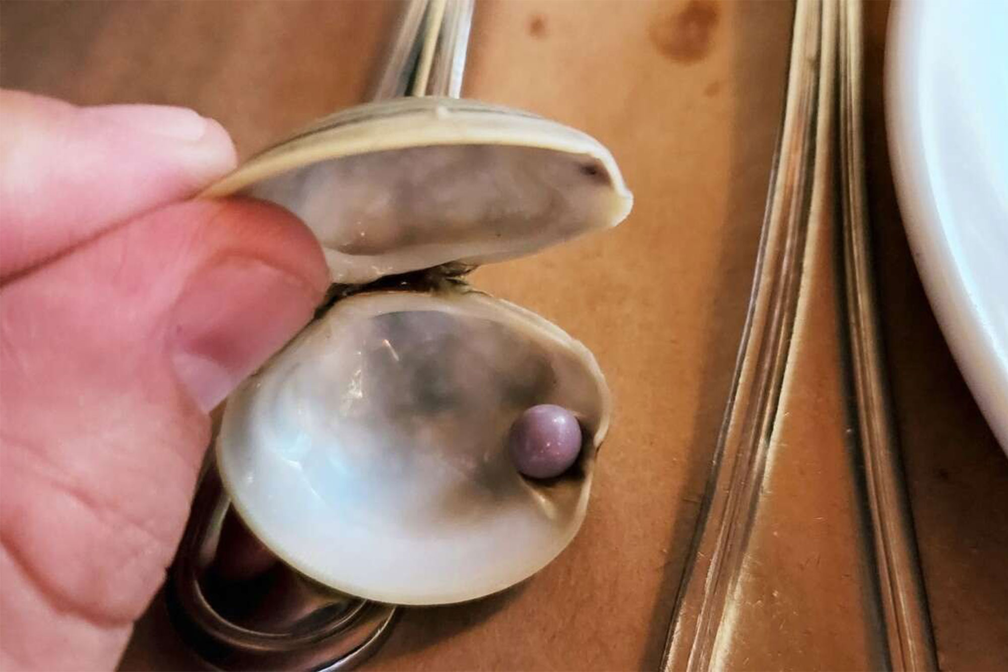 Rare purple pearl found inside clam by Delaware diner