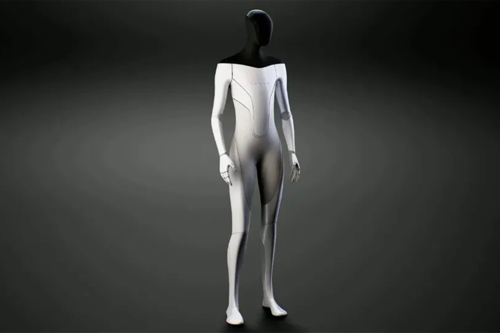 The robots can take care of everything from cooking, cleaning and general maintenance.