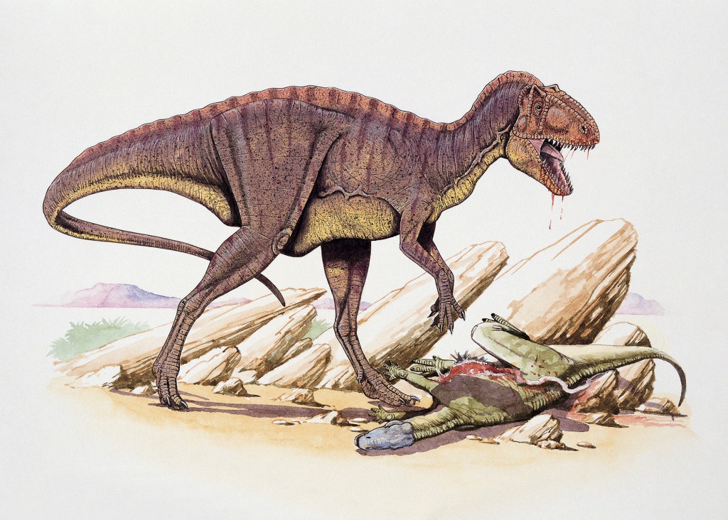 The tracks are believed to belong to two types of dinos, including the Acrocanthosaurus.