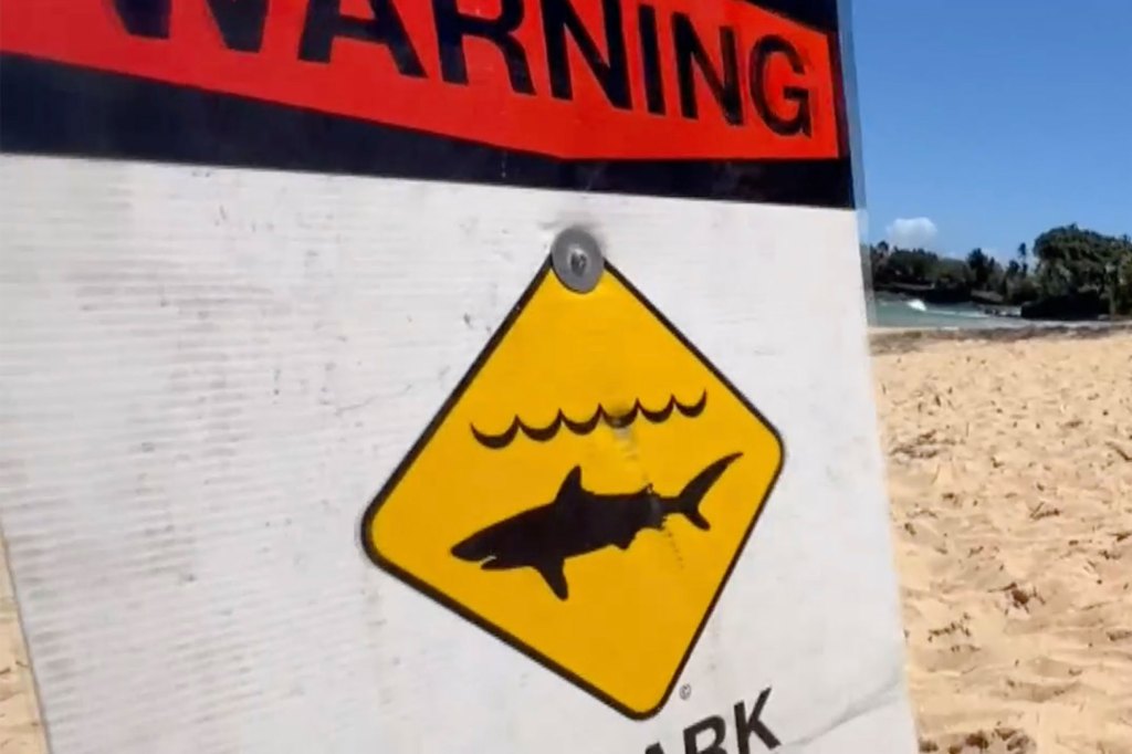 The victim had reportedly been seen swimming and possibly snorkeling in murky water approximately 100 yards from shore before the incident.