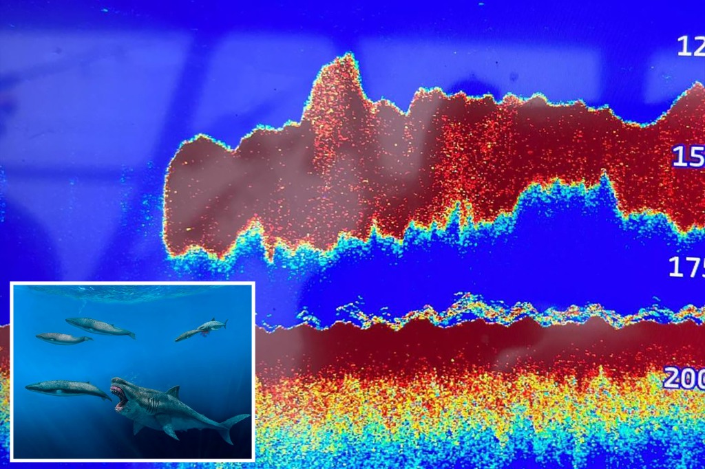 Researchers were flabbergasted after detecting what appeared to be a massive 50-foot "Megalodon" beneath their boat.