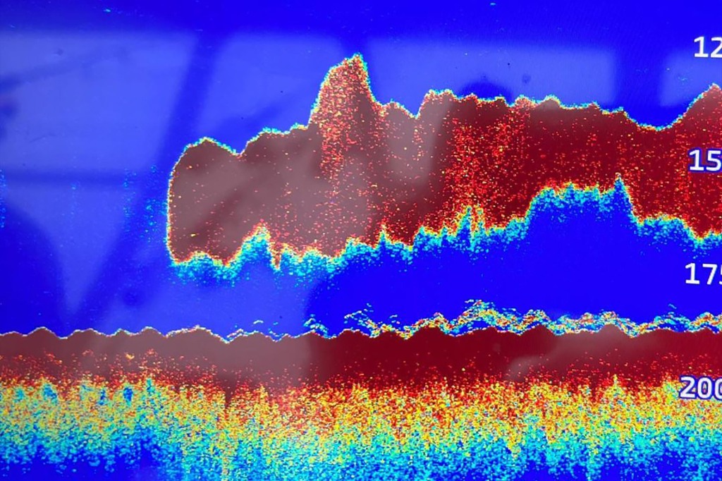 "On a recent shark research trip we were all amused to see this shape appear on our fish finder for several minutes," researchers with the Atlantic Shark Institute&nbsp;wrote in an Instagram post detailing the shark-like shape.