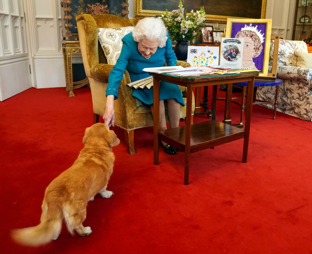 Candy is one of the queen's oldest pups.