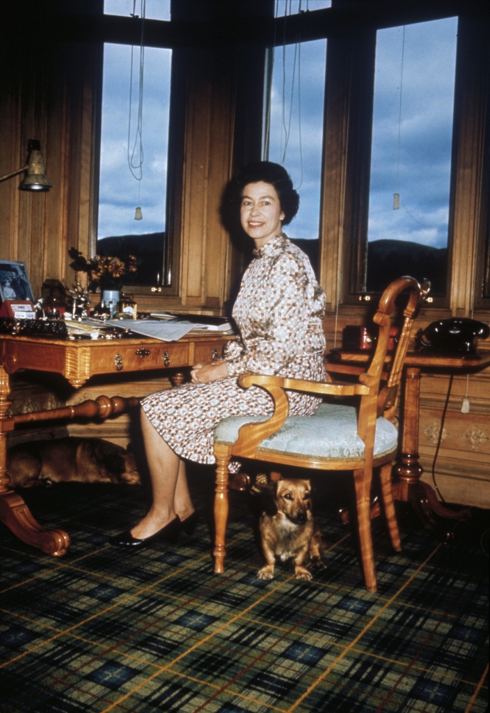 The queen even  smuggled one of her dogs beneath a rug in the royal carriage for her honeymoon in 1947. 