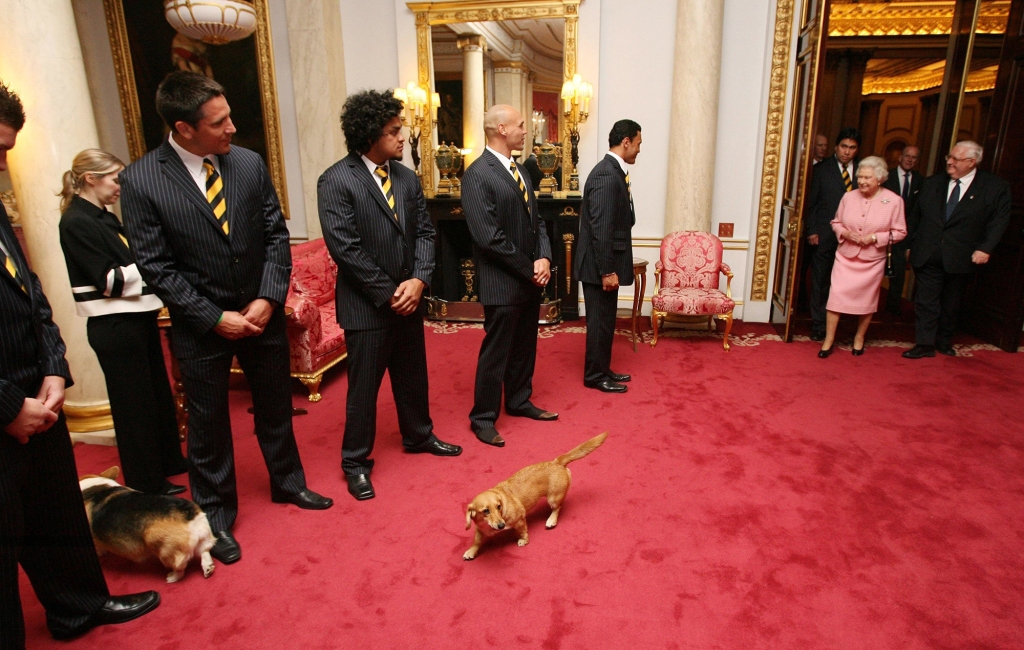 There's a chance the palace staff will continue to care for Queen Elizabeth's dogs following her death.