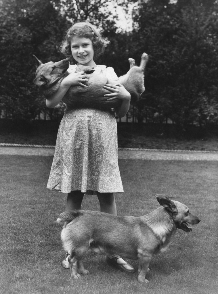 Queen Elizabeth's love of Corgis started from the age of 7, when a family friend showed her one. 