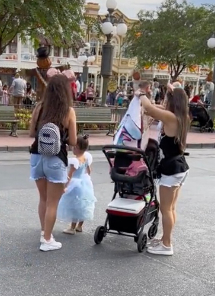 The little girl was dressed like a princess for her big day at the park.