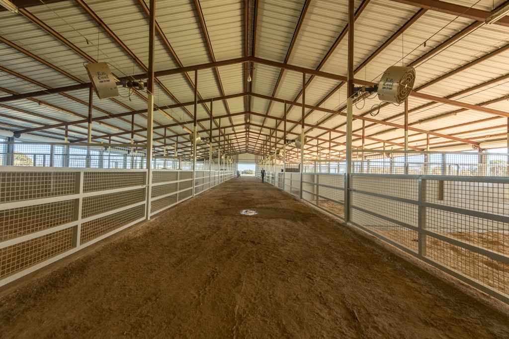 The show barn.