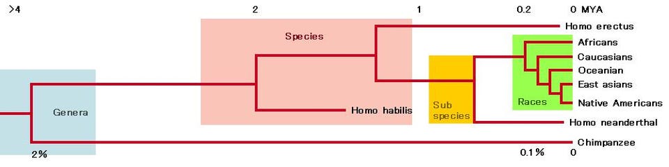 first humans